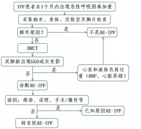 鐘南山-肺-肺康復-特發(fā)性肺纖維化-肺炎-間質(zhì)性肺炎-間質(zhì)性肺纖維化-IPF-AE-IPF-HRCT-GGO