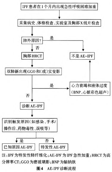 鐘南山-肺-肺康復-特發(fā)性肺纖維化-肺炎-間質(zhì)性肺炎-間質(zhì)性肺纖維化-IPF-AE-IPF-普通型間質(zhì)性肺炎-UIP-磨玻璃密度影-GGO